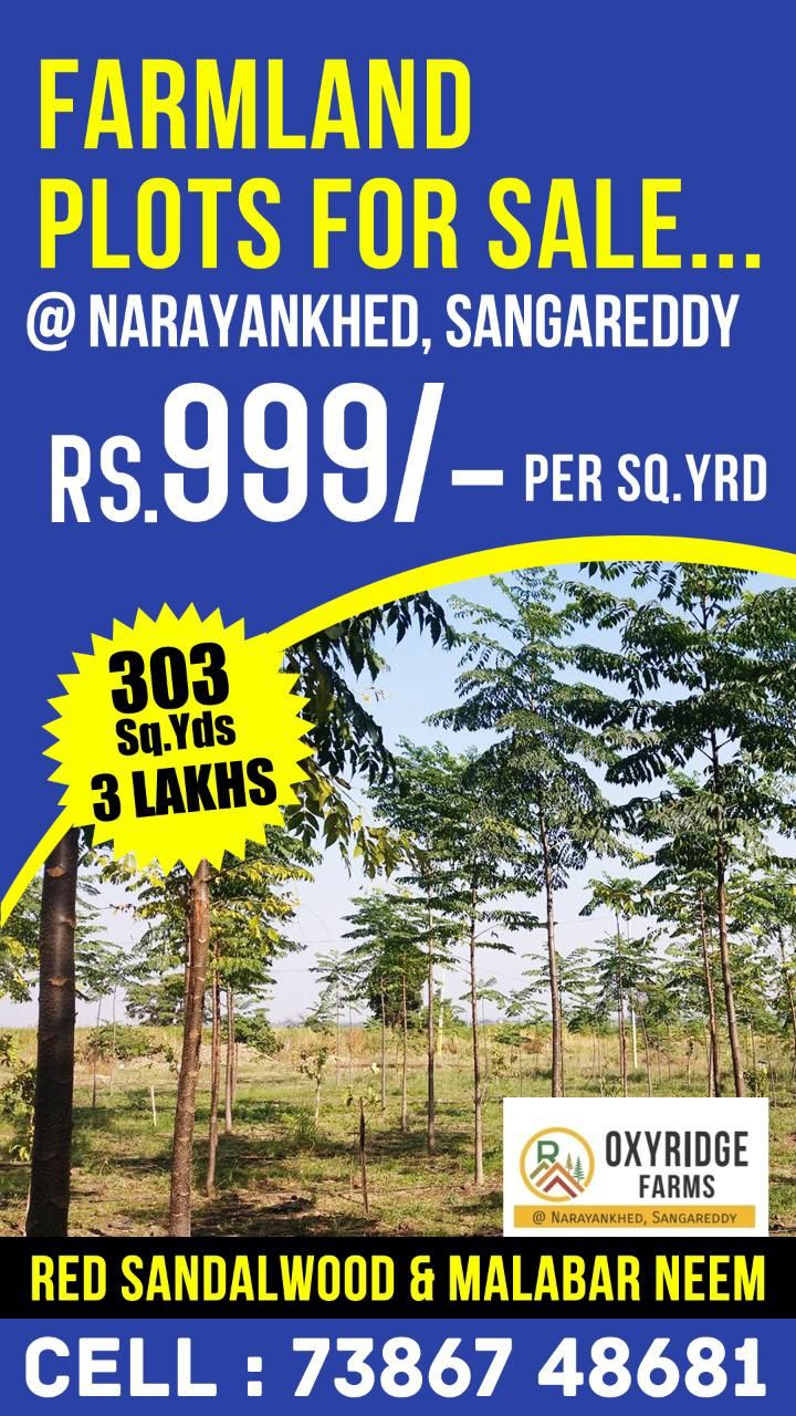 Per square yard 579/- rs only